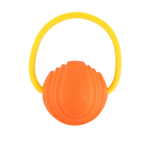 Hive™ Looped Ball