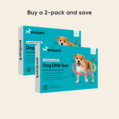 Embark