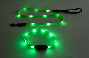 LED light up safety leash